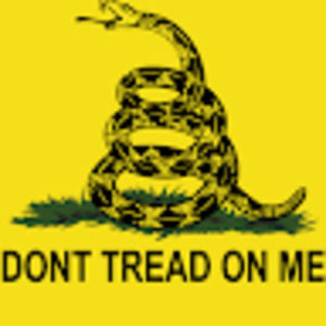 Meet your Posher, Nathan